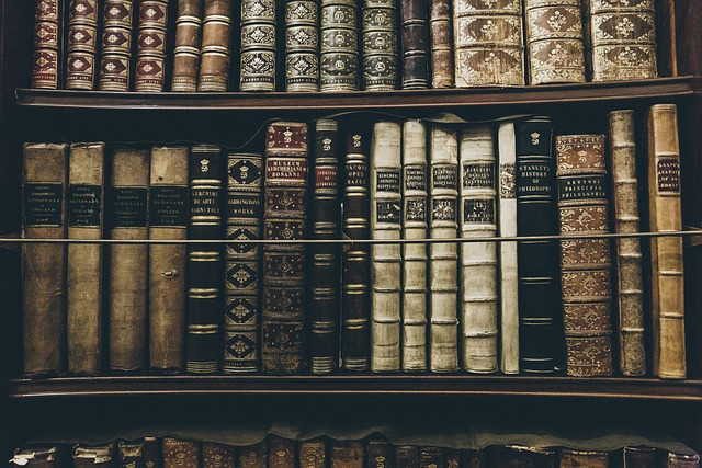 books-2606859_640 3
